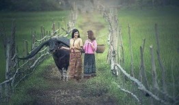 余生爆料柬埔寨视频,余生爆料揭开异域风情